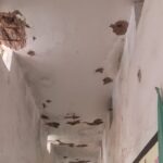 Abhanpur Dilapidated School