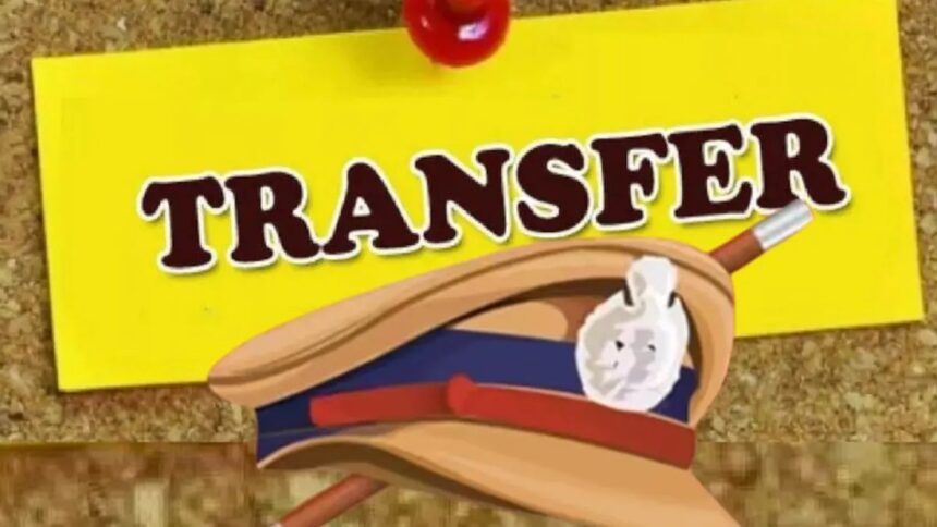 CG DSP Transfer
