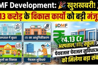 DMF Development