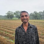 Ginger Farming Success