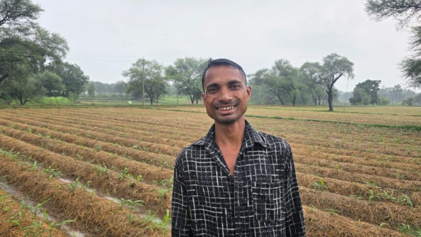 Ginger Farming Success