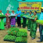 IFC Nursery