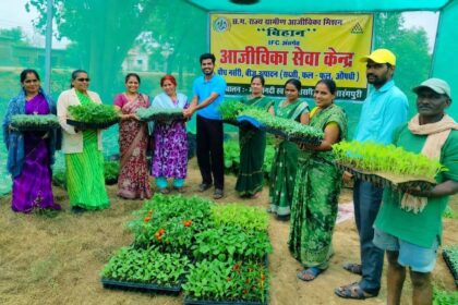IFC Nursery