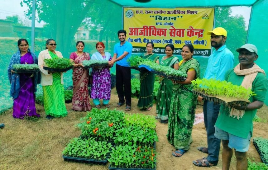 IFC Nursery