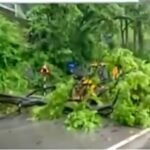 Keshkal Ghat Landslide Alert : लगातार बारिश से केशकाल घाट में बढ़ा खतरा, सड़क पर पेड़ गिरने से थमा यातायात