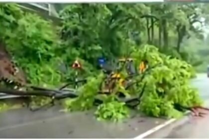 Keshkal Ghat Landslide Alert : लगातार बारिश से केशकाल घाट में बढ़ा खतरा, सड़क पर पेड़ गिरने से थमा यातायात