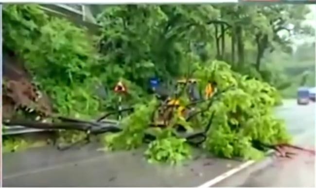 Keshkal Ghat Landslide Alert : लगातार बारिश से केशकाल घाट में बढ़ा खतरा, सड़क पर पेड़ गिरने से थमा यातायात