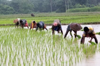 Kharif Sowing 2026 : प्रदेश में खेती-किसानी का काम तेज़ी के साथ जारी, 80 प्रतिशत बोनी पूर्ण