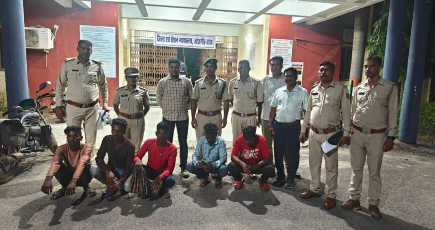 Monitor Lizard Trafficking