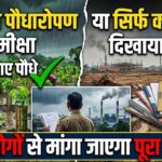 Monsoon Plantation Review