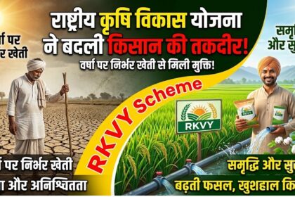 RKVY Scheme