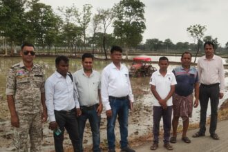 Raigarh News 
