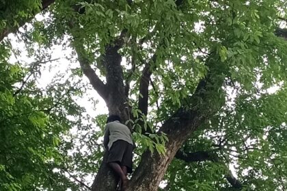 Sitapur Rescue