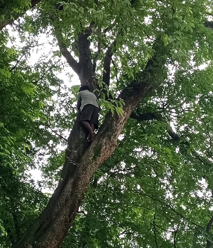 Sitapur Rescue