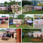 Tree Plantation
