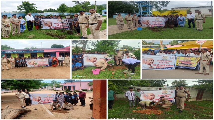 Tree Plantation