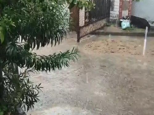 Chhattisgarh Weather Alert