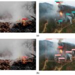Forest Fire Alert System