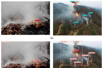 Forest Fire Alert System