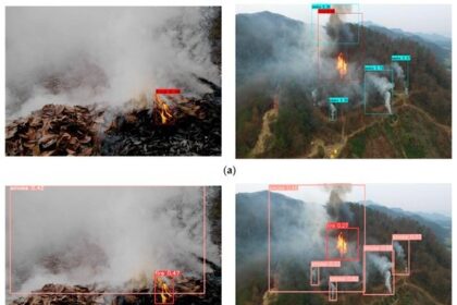 Forest Fire Alert System