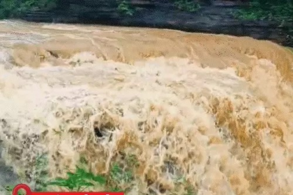 Chhattisgarh Rain