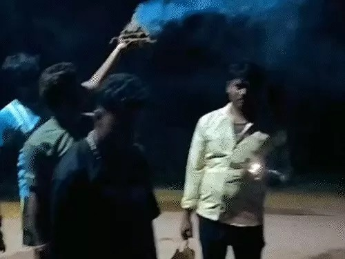 Savanahi Tradition 