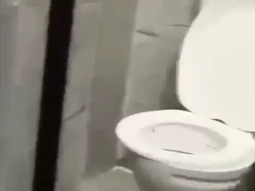 Sakti Papa Dhaba Viral Video