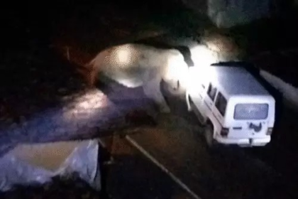 Takhatpur Sweet Shop Fire