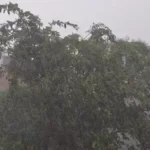 CG Monsoon Update