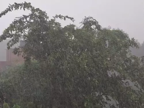 CG Monsoon Update