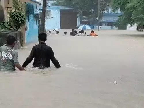 Bilaspur Rain Flood