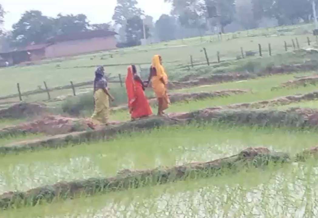 Road Connectivity