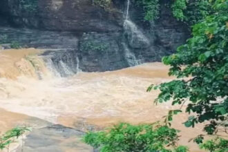 Monsoon Update