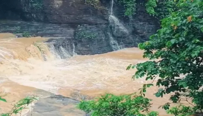 Monsoon Update
