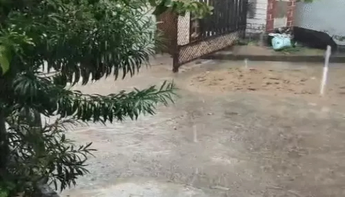 Chhattisgarh monsoon update