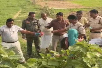 Balrampur Gang Rape Case