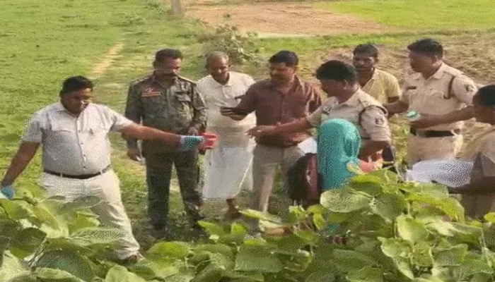 Balrampur Gang Rape Case