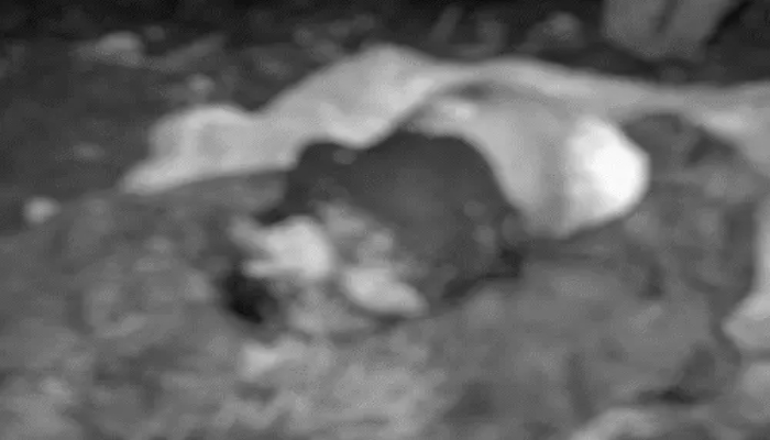 Bemetara Murder Case