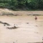Pratappur Broken Bridge Controversy