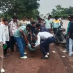Raigarh Crime