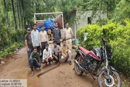 Bilaspur Illegal Timber Transport 