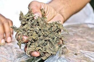 Ganja Smuggling