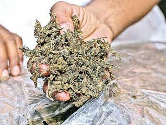 Surajpur Ganja Smuggling