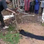 Cobra Rescue