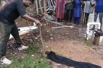 Cobra Rescue
