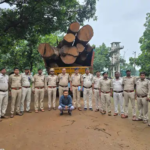 Korba Illegal Timber