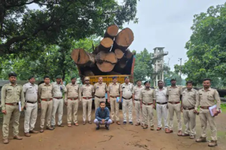 Korba Illegal Timber