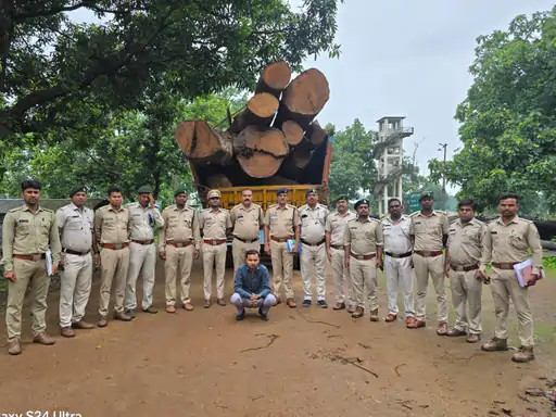 Korba Illegal Timber