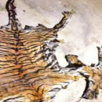 Tiger Skin Smuggling