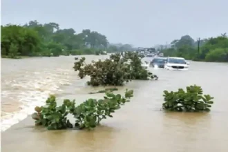 Chhattisgarh Heavy Rain Alert